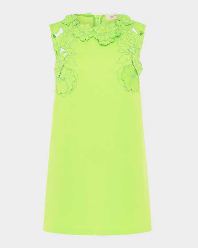 Blair Embroidered Floral Applique Mini Dress